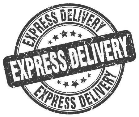 EXPRESS Upgrade Option Priority Mail Courier Fedex UPS - Etsy