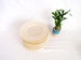 3 Belleek Limpet Dinner Plates 6 3/4 Inches Each 