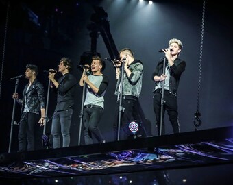 ワン・ダイレクション（テイク・ミー・ホーム・ツアー）クロスステッチ