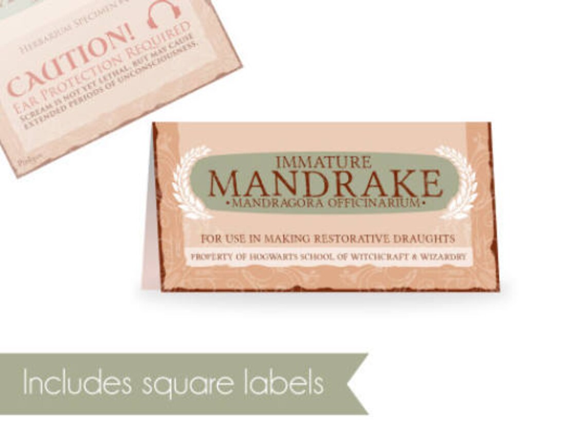 Mandrake Labels Template Wizard Party favor labels High | Etsy