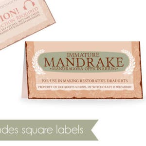 Mandrake Labels Template Wizard Party Favor Labels High Quality ...