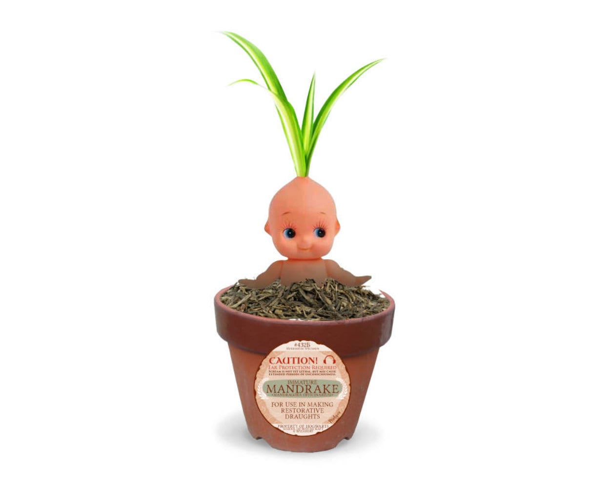 Premium Vector  Illustration of cute cartoon blue mandrake root in flower  pot