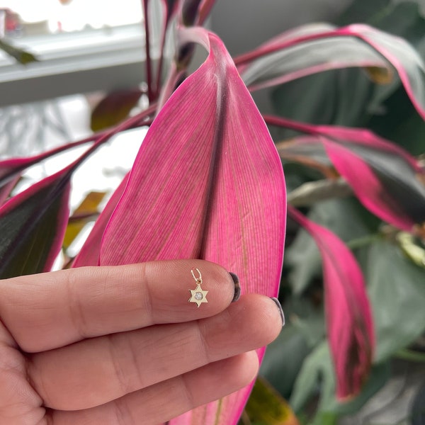 Personalized 14k Gold Mini Diamond Star of David Necklace