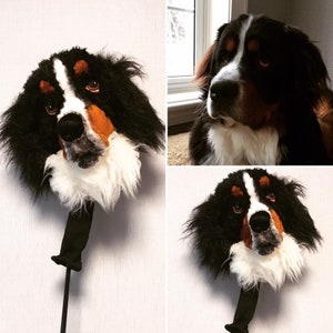 Custom Golf club cover Bernese Mountain dog portrait same as sample model