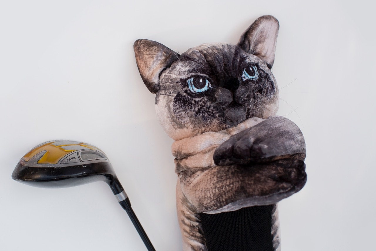 Golf cat