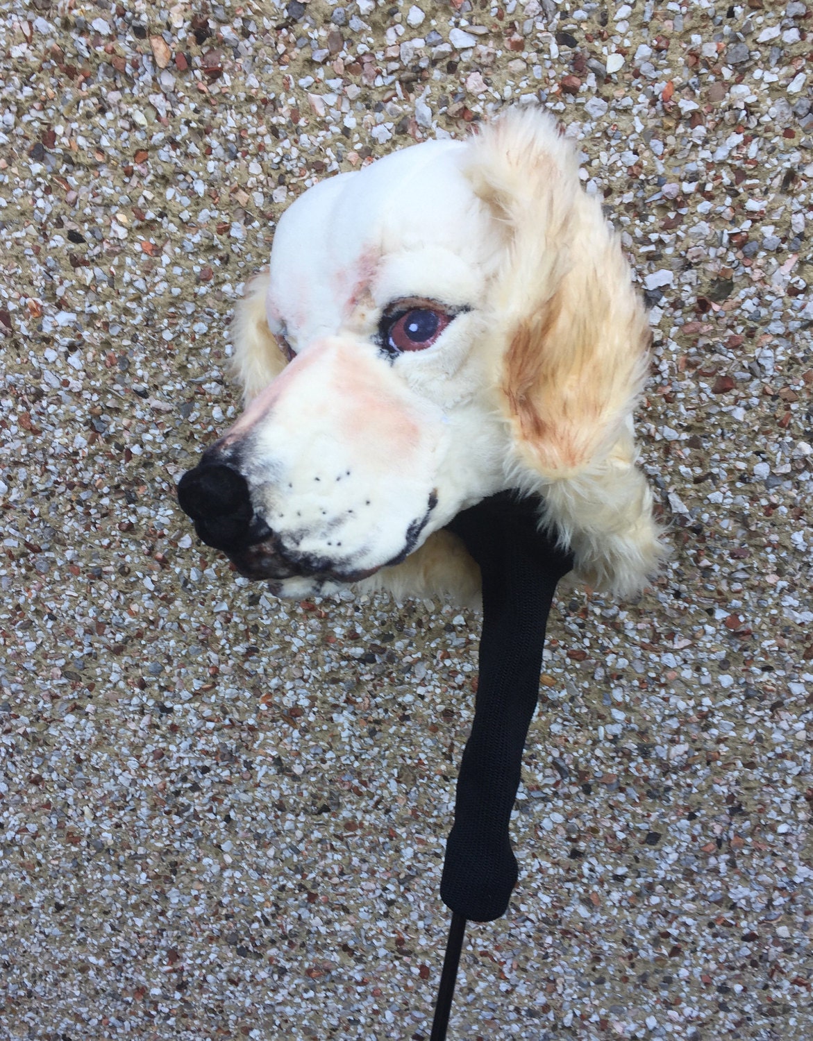 custom dog head covers