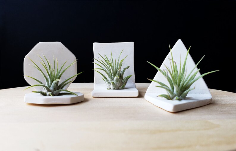 Air Plant Plant Holders. Mini Plant Holders. Etsy
