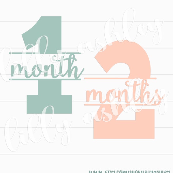 Number SVG & PNG Baby Milestone SVG Set Months 1-12 and 1 year Split number svg Monthly Milestone Pregnancy svg