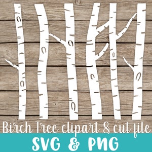 Birch Tree SVG Cut File svg/png formats. birch tree clipart black and white PNG and SVG