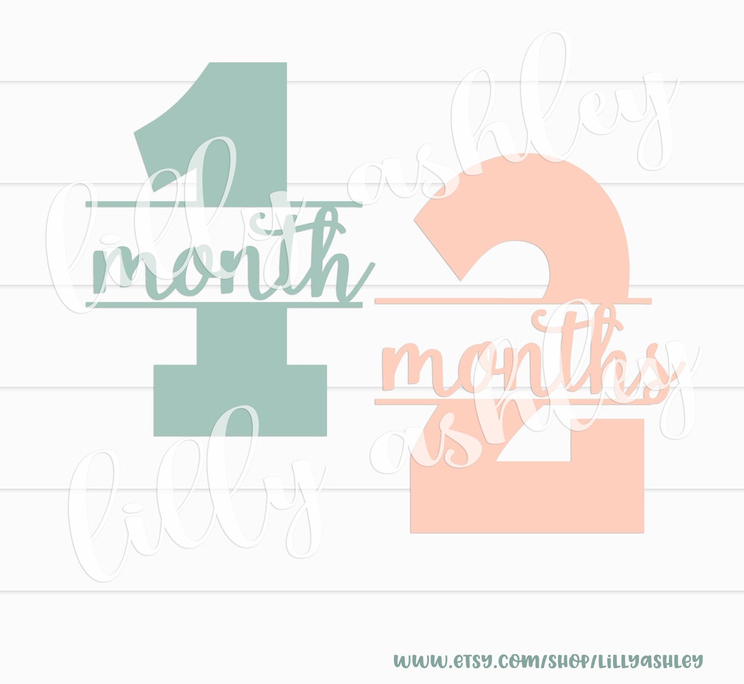 Number SVG & PNG Baby Milestone SVG Set Months 1-12 and 1 Year Split ...