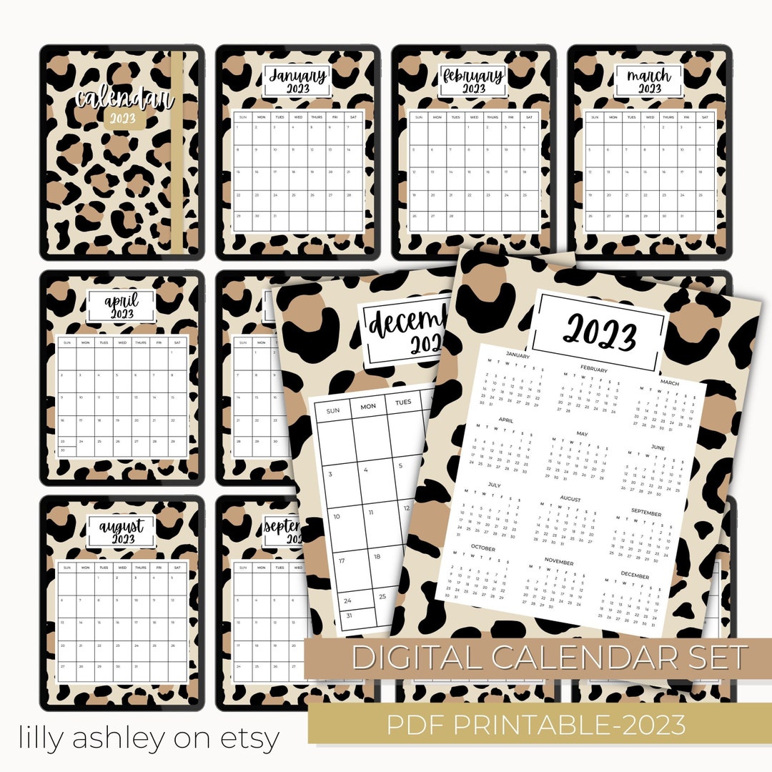 Printable Wall Calendar for 2023 12 Month Monthly Calendar iPad