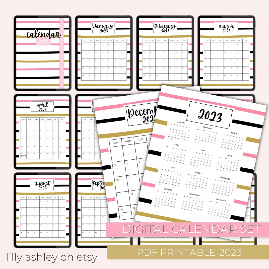 Printable Calendar for 2023 12 Month Monthly Calendar iPad Goodnotes Digital Planning PDF