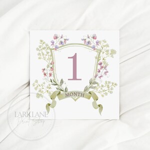 Cartes d’étape mensuelles florales mauves et vertes ~ Cartes d’étape monogramme personnalisées ~ Carte de bienvenue pour bébé avec statistiques de naissance