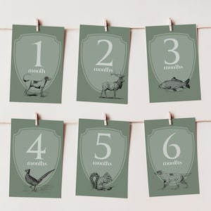 Cartes d'étape mensuelles Green Woodland Animals ~ Cartes d'étape sur le thème de la chasse ~ Carte de bienvenue pour bébé avec statistiques de naissance