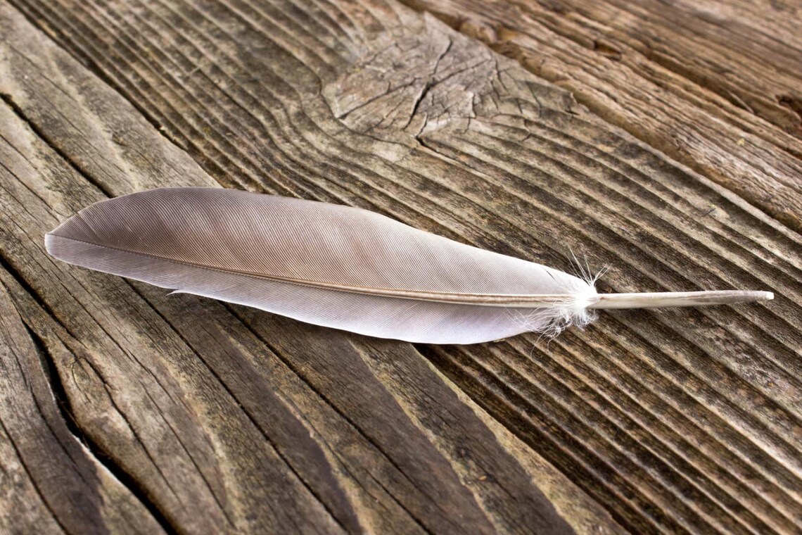 Long Feather Earring Free Spirit Bohemian Earrings Tribal - Etsy