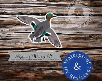 Green wing teal flying duck sticker  decal