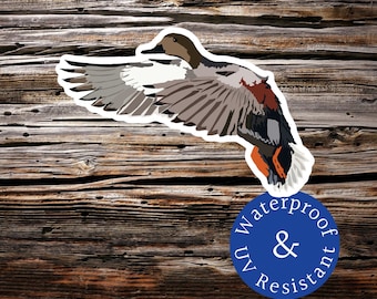 Puede incluir: Una pegatina de un pato marrón y gris en vuelo con una pegatina circular azul debajo que dice "Waterproof & UV Resistant".