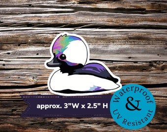 Bufflehead duck sticker