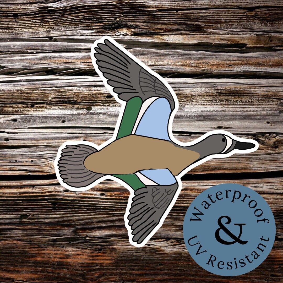 Blue Wing Teal Sticker - Etsy