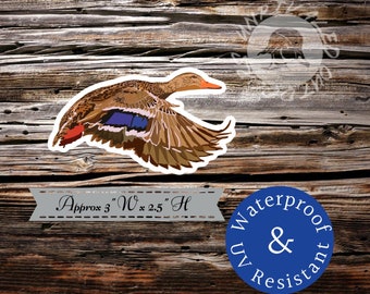 Hen mallard duck sticker decal