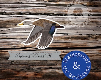 Mottled duck sticker decal