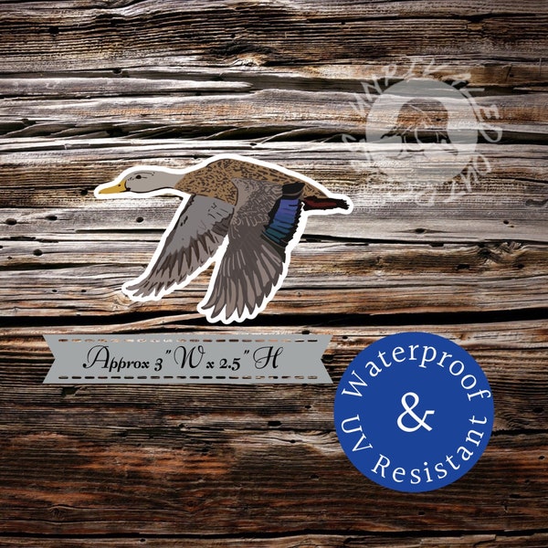 Mottled duck sticker decal