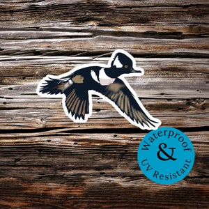 May include: A black and white bird with a yellow eye, flying in mid-air. The bird is a hooded merganser. The image has a blue circle with the text "Waterproof & UV Resistant" in white.