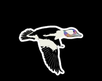 Puede incluir: Un pato blanco y negro con la cabeza de colores está volando en el aire con las alas extendidas.