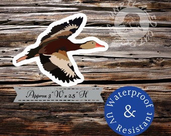 black bellied whistler duck sticker