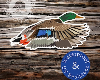 Puede incluir: Una pegatina de un pato silvestre en vuelo con las alas extendidas. El pato es marrón, gris y azul con la cabeza verde. La pegatina tiene un borde blanco y está sobre un fondo de madera. La pegatina también tiene un círculo azul con el texto "Waterproof & UV Resistant" en blanco.