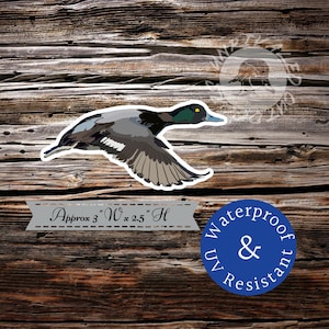 May include: A sticker of a black and green duck in flight. The sticker is approximately 3 inches wide by 2.5 inches high. The sticker is waterproof and UV resistant.