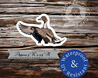 Pintail  duck sticker decal