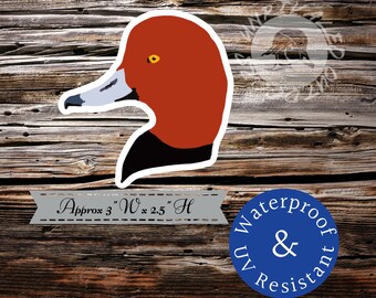 Red head duck