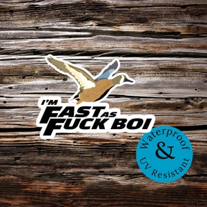 Im fast as F* boi blue wing teal duck sticker