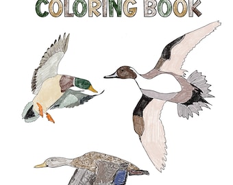 Wasservögel Malbuch;  Ein realistisches Enten-Malbuch für Jäger und Vogelbeobachter