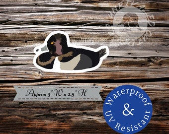 Ring neck, duck Drake sticker decal