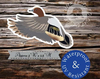 Wigeon duck sticker Eurasian