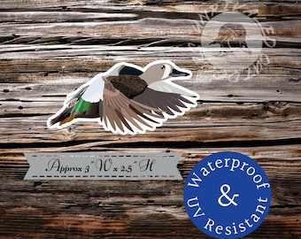 Blue wing teal flying duck sticker  decal