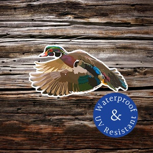 Wood duck flying, woodie Sticker, woodduck