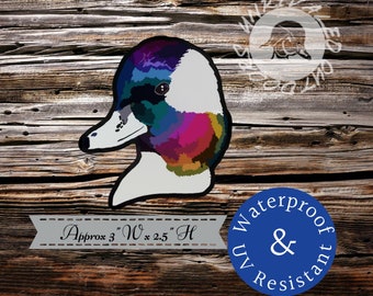 Bufflehead duck sticker