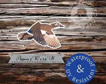 Hen wood duck woodie flying duck sticker  decal
