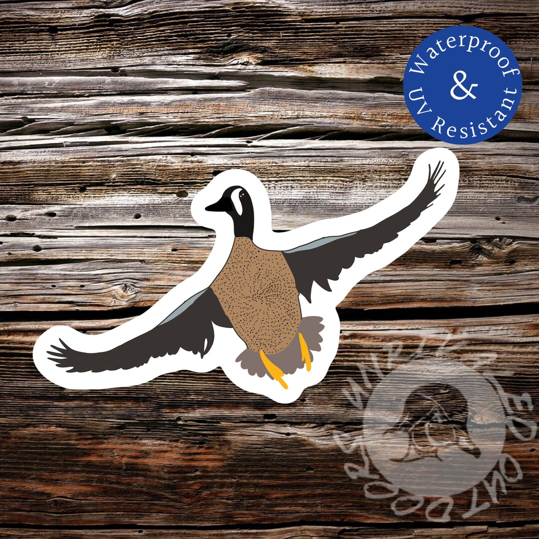 Blue Wing Teal Duck Sticker - Etsy