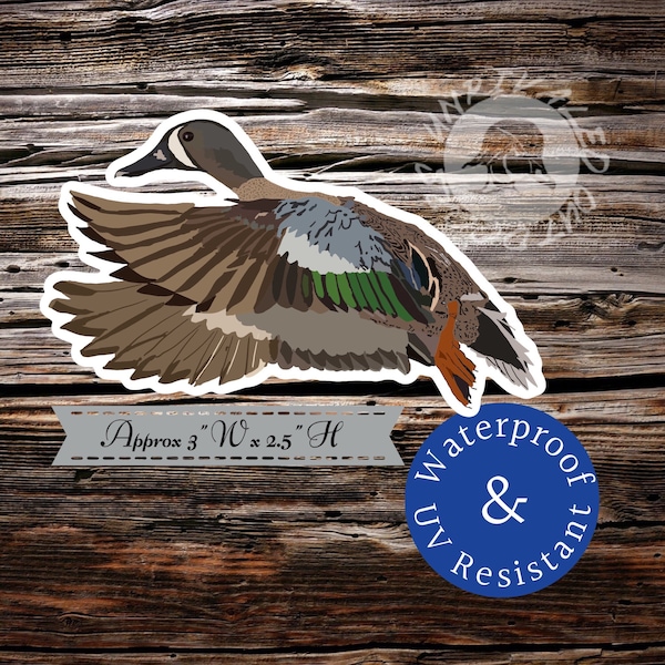 Blue wing teal flying sticker