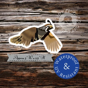 May include: A sticker featuring a detailed illustration of a quail in flight, with brown, tan, and black feathers. The sticker is approximately 3 inches wide and 2.5 inches high. The sticker is waterproof and UV resistant.