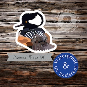 Hooded merganser duck sticker