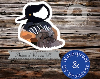 Hooded merganser duck sticker