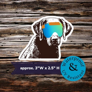 Labrador dog in sunglasses sticker