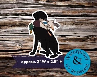 Black Labrador dog with mallard sticker