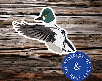 Puede incluir: Una pegatina de un pato de ojos dorados con las alas extendidas, volando. La pegatina está sobre un fondo de madera y tiene un círculo azul con el texto "Waterproof & UV Resistant" alrededor.