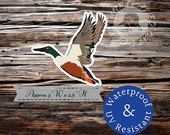 Spoony duck norther shovler spoon bill duck sticker decal